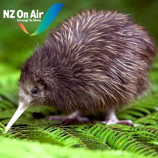 The New Zealand Music Show 24/3