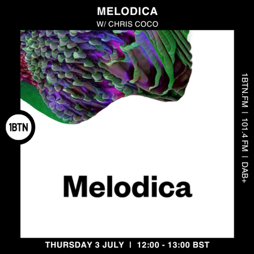 Melodica w/ Chris Coco - 03.07.25