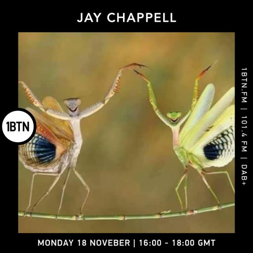 Jay Chappell - 18.11.24