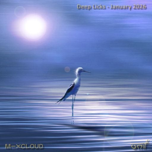 Deep Licks - February 2026