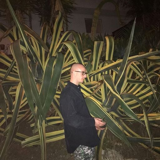 The NTS Breakfast Show w/ PALMS TRAX - 19th March 2025