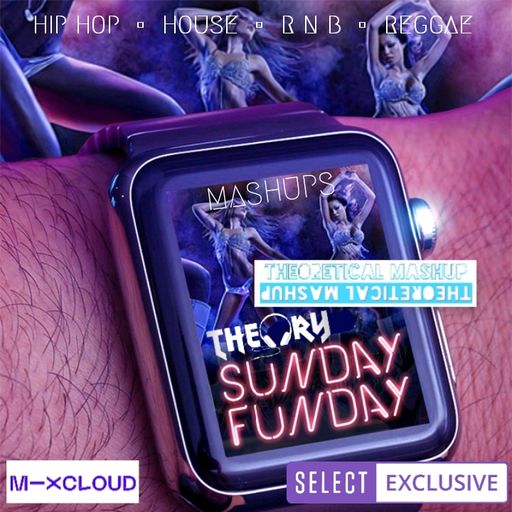 SUNDAY FUNDAY - HIP HOP x HOUSE x R N B x REGGAE MASHUPS & REMIXES