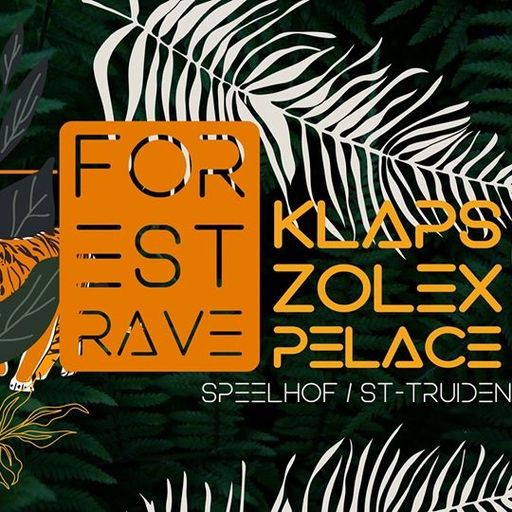 Frank Zolex at "Forest Rave" @ Speelhof (St Truiden - Belgium) - 16 November 2019