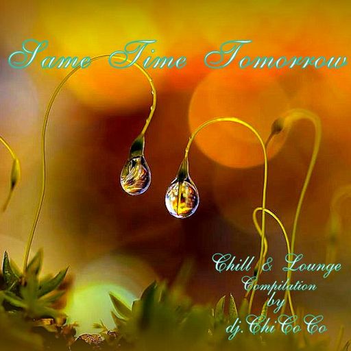 ""THE SAME TIME TOMORROW"" chill & lounge compilationT
