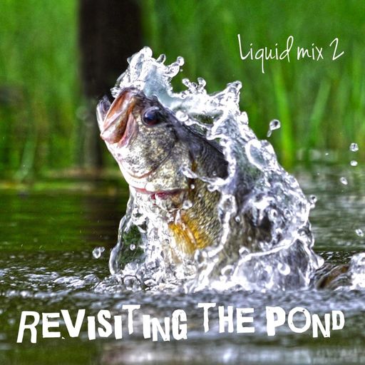Revisiting The Pond Liquid Mix 2