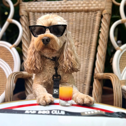 Food + Drink Show 21-09-23