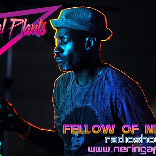Fellow of Neringa: Mystical plants 2016.04.06