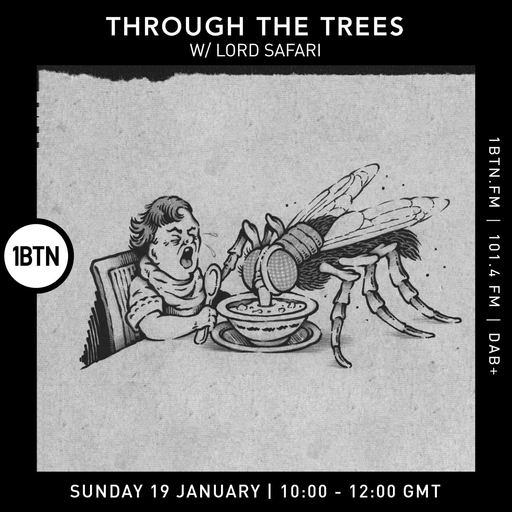 Ty : Through The Trees w/ Lord Safari - 19.01.25