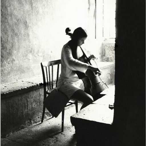 concerto for this & that