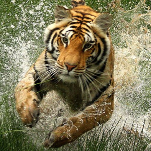 DJ Destiny (Music Inc.) presents Hip Hop Mix Vol 2 04.08.2019