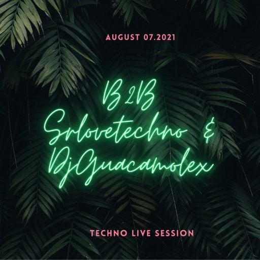 Sr_lovetechno B2b DjGuacamolex Technofriends Live Set