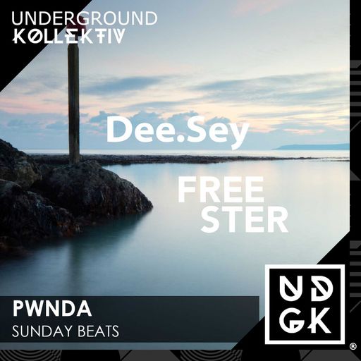 pwnda - pwnda - Sunday Beats - Dee.Sey and Freester Takeover (UDGK: 23/04/2023)