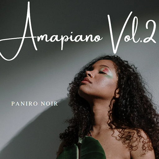 Paniro Noir - Amapiano Volume 2