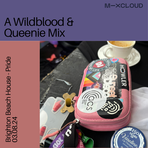 Wildblood and Queenie: Brighton Beach House Pride 24