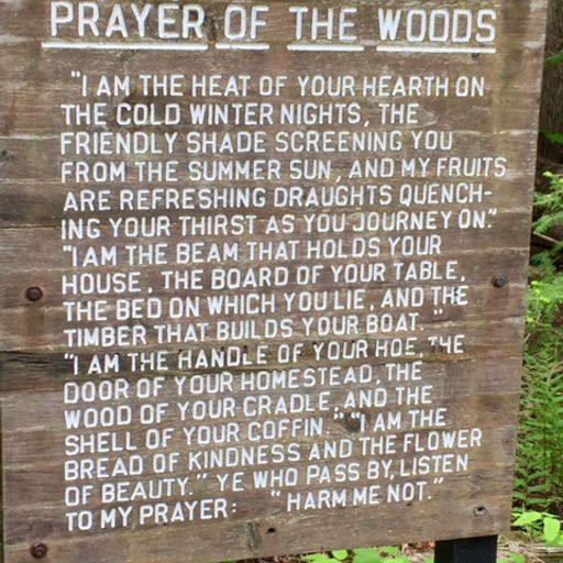 The Drum Circle - LIVE! on drumBase.space (11/12/16)