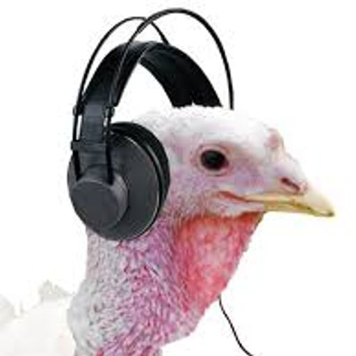 In Yer Ears #63 Spot The Turkey