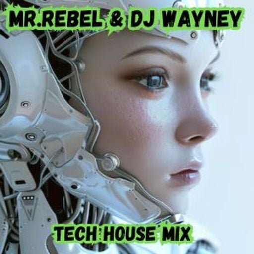 Mr.Rebel & DJ Wayney Tech House Mix
