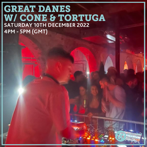 Great Danes w/ CONE & Tortuga 10th December 2022
