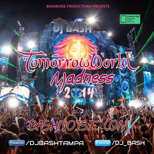 TomorrowWorld Madness 2014