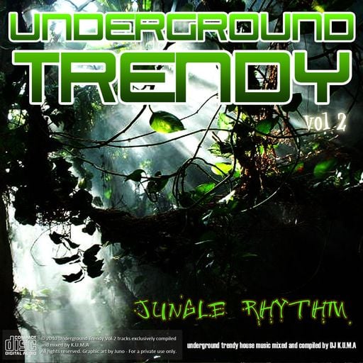 The Jungle Rhythm