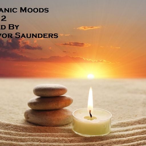 Organic Moods Vol 2