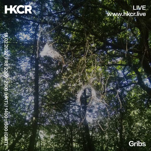 Gribs - 18/02/2022