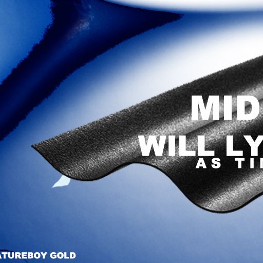 Common Narrative #1 w/ Midland, Will Lynch aka Timecop & Natureboy Gold 18.08.172017