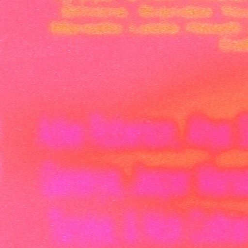 Alice Coltrane Special: Brandee Younger Live Performance - 9th February 2025