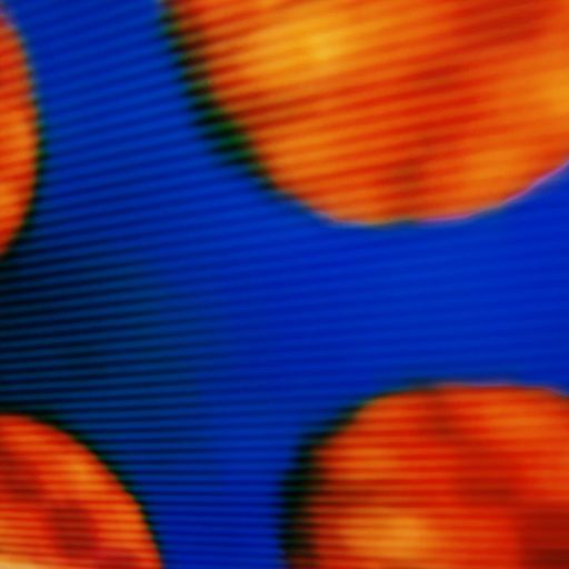 Orpheu The Wizard - 23rd January 2026