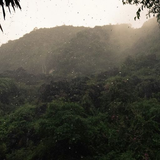 Naviar Broadcast #374 - After the Typhoon - 2 July 2025