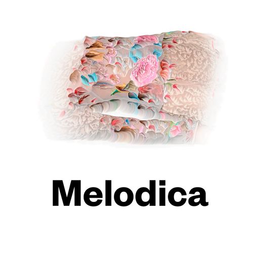 Melodica 10 January 2022