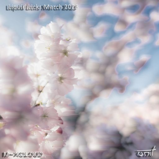 Liquid Licks - March 2023