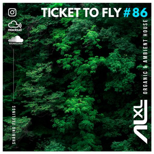 TICKET TO FLY #86 JAN 2024 (Organic House)