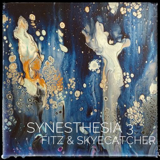 Synesthesia part 3 - A Skyecatcher & Fitz collaboration
