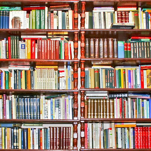 Steph Brookes 210115