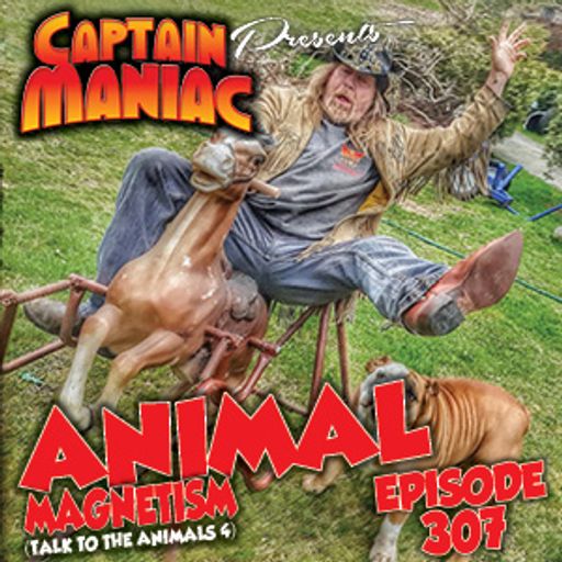 Episode 307 / Animal Magnetism