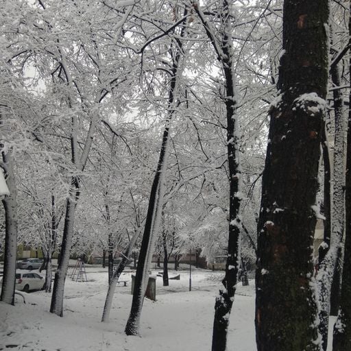 All These Snowy Days In Belgrade