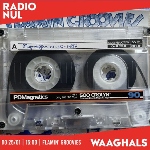 Flamin' Groovies, Live @ Doornroosje, Nijmegen - Waaghals / 14-10-1987