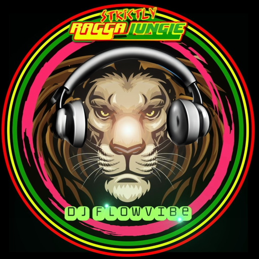 DJ FlowVibe - SRJ radio live - 1/20/2024
