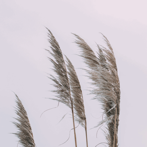 Saturday's mini deep house techno session