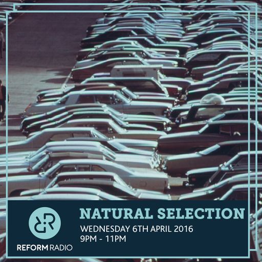 Natural Selection 6th April 2016