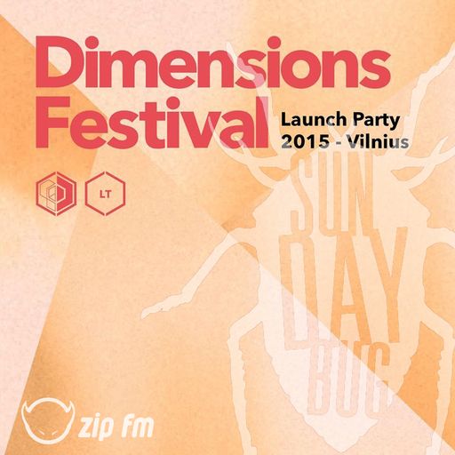 SUNDAY BUG OUT {25} Dimensions Festival Vilnius launch party