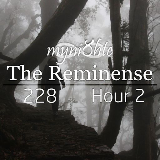 The Reminense 228 - Hour 2
