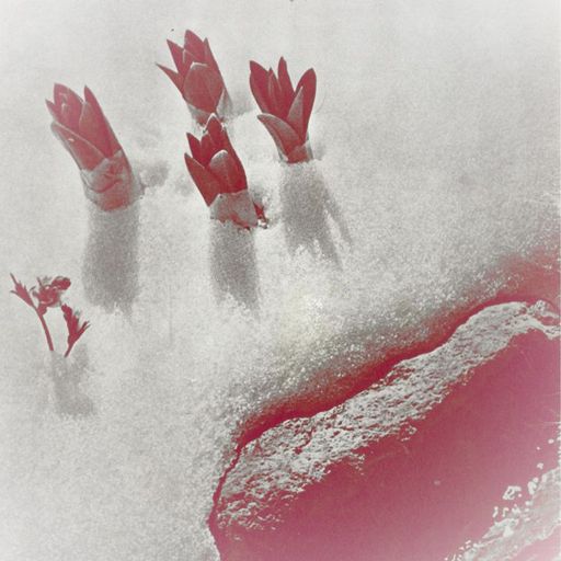 Forager Records w/ Heather Johnson - 5th December 2024