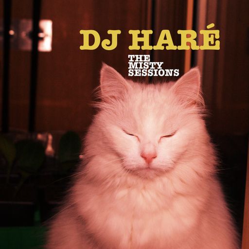 DJ Haré live from the sheppey 19.08.18 soul.electronic.jazz.nusoul. the misty sessions