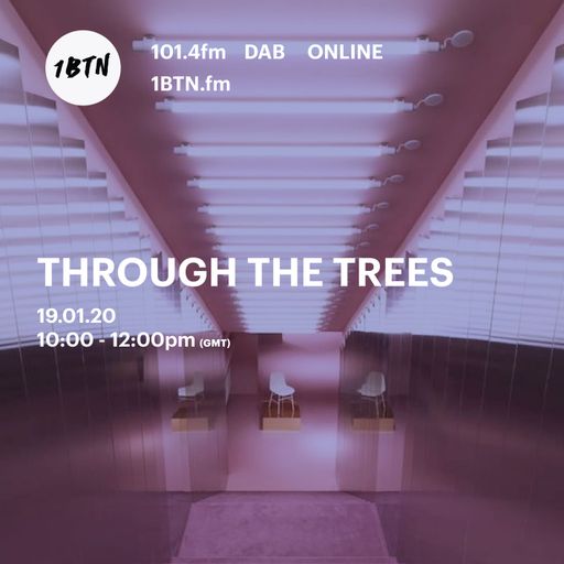 Ty- Through the Trees - 19.01.2020