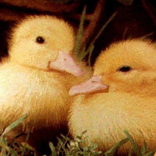 Whiplash presents: OrnithologicalStudies // hard bop - October 2022