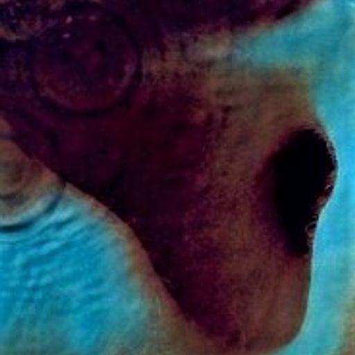 Inner World (AmbientTech)