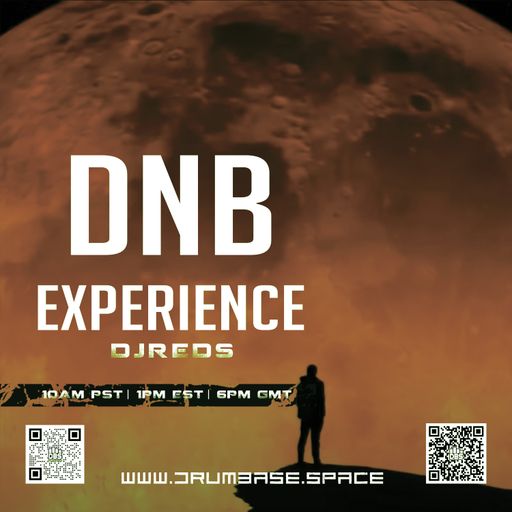 dnb experience 04112023