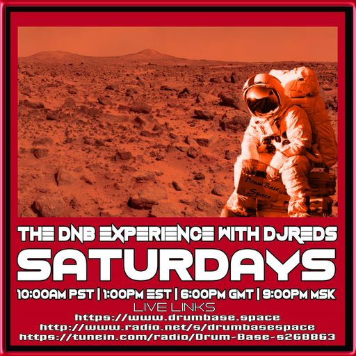 the dnb experience - reson8 test
